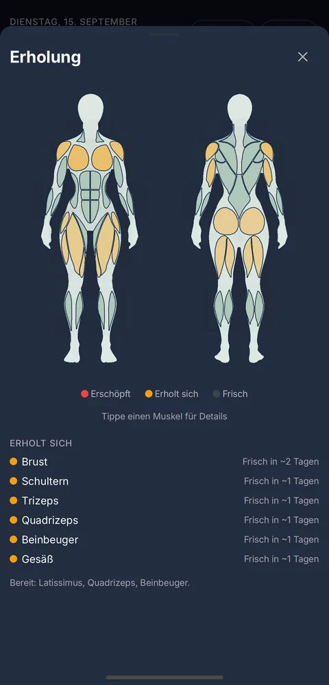 Die Erholungskarte der Muskeln: Körper von vorne und hinten, die Muskelgruppen nach Bereitschaft eingefärbt.