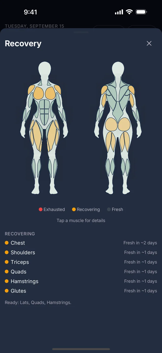 The muscle recovery map with the readiness score.