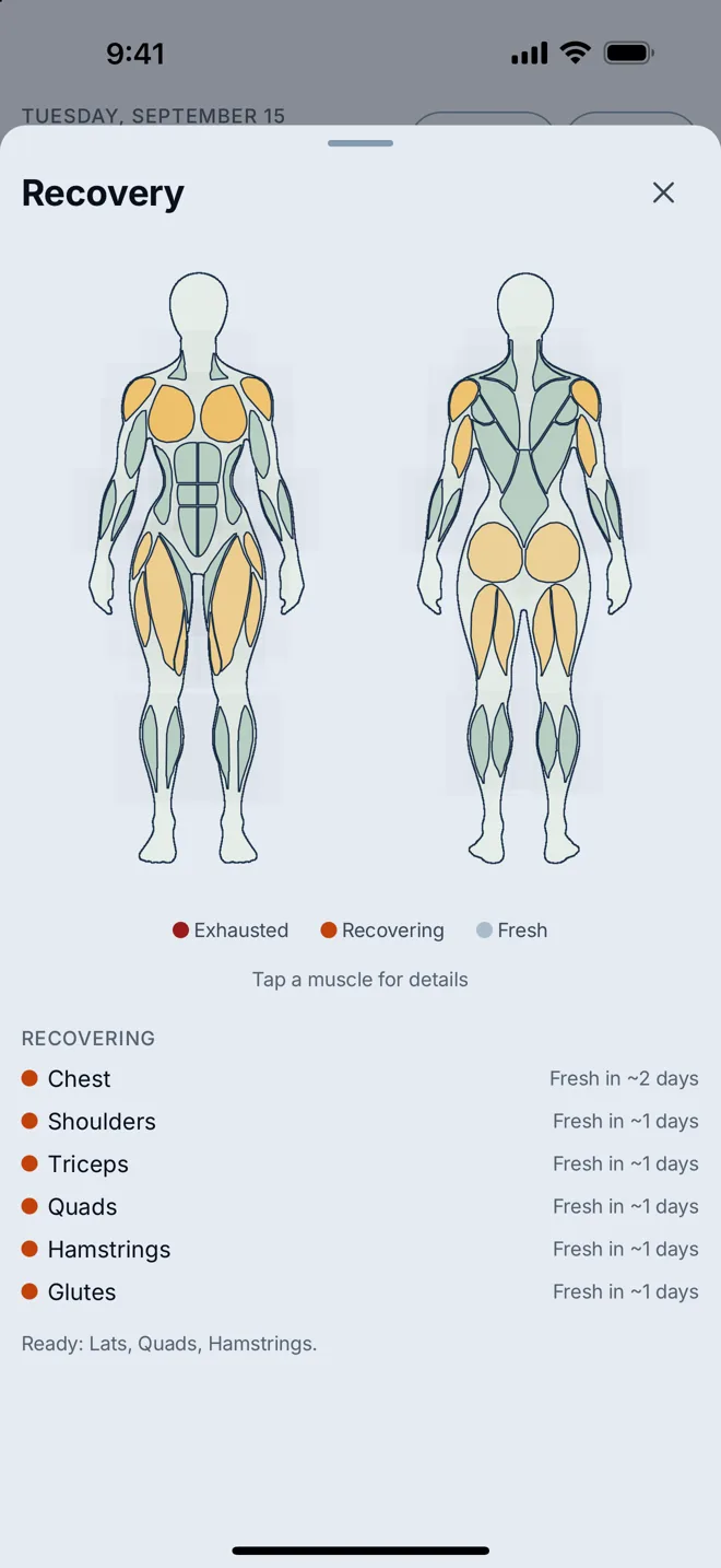 The muscle recovery map with the readiness score.